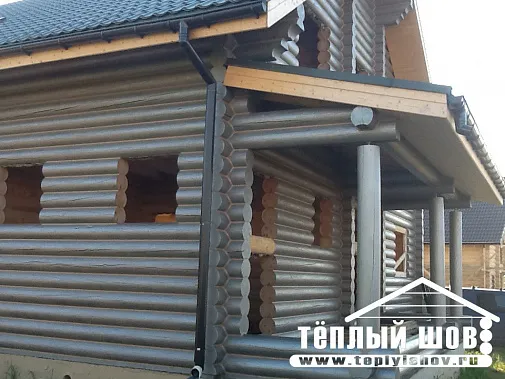 Анютины Глазки
