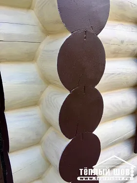  Золотые Сосны - 3